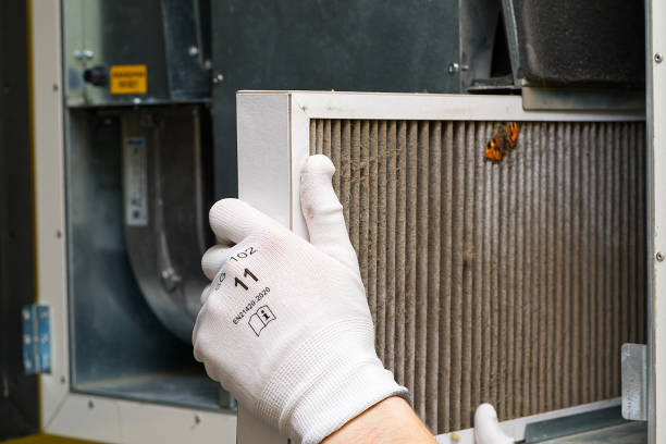 Affordable HVAC Duct Cleaning in Locust Grove, GA