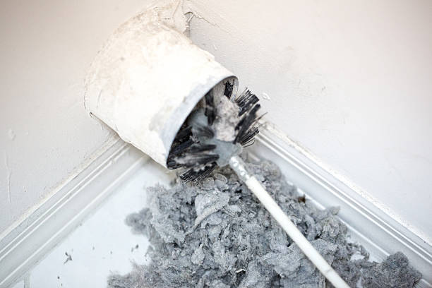 Best Professional Duct Cleaning Services  in Locust Grove, GA